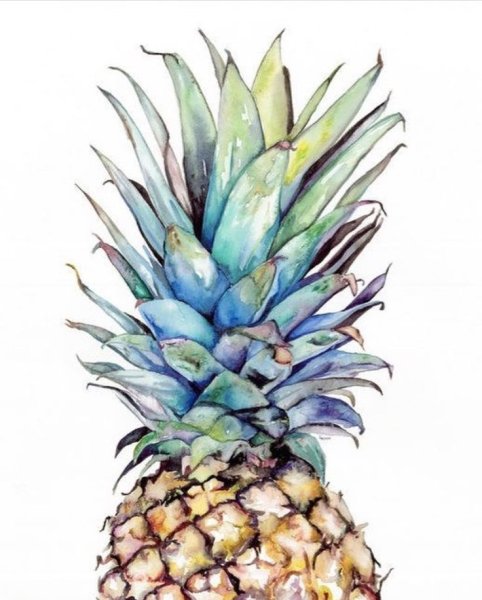 Ананас акварель