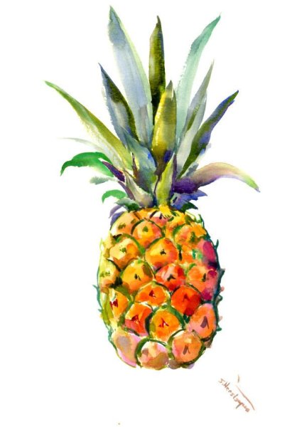 Ананас акварель