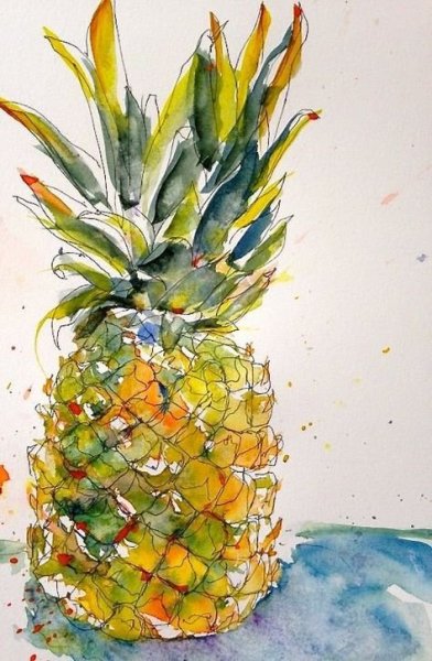 Ананас акварелью скетч