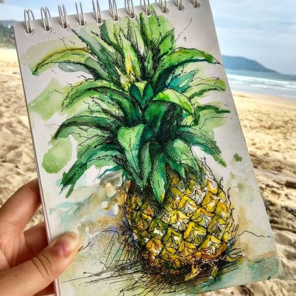 Ананас скетчинг