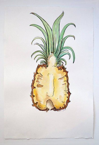 Этюды фруктов акварелью ананас