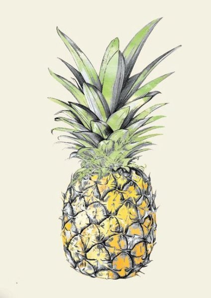 Ананас скетч