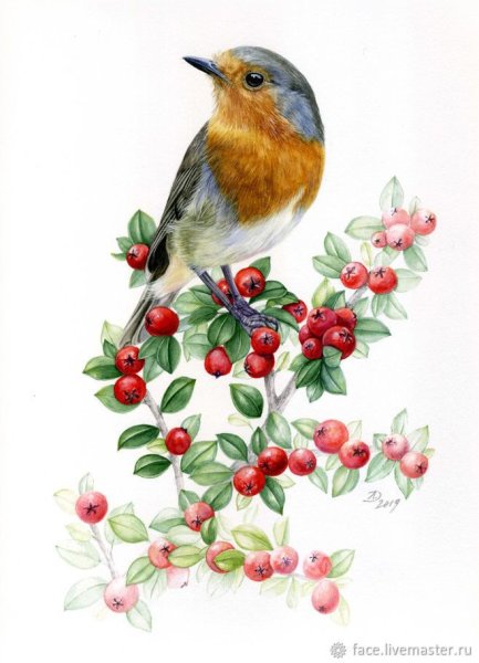 Малиновка акварель