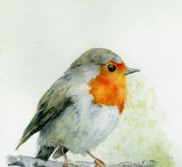 Малиновка Зарянка акварелью