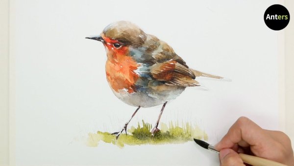 Две Малиновки, акварель