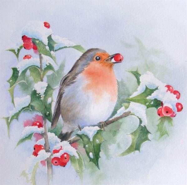 Рождество птицы акварель