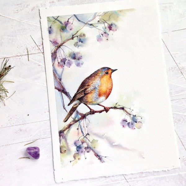 Альбина статных акварель