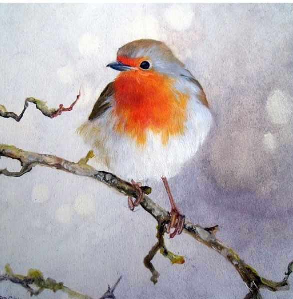 Птичка Зарянка акварель