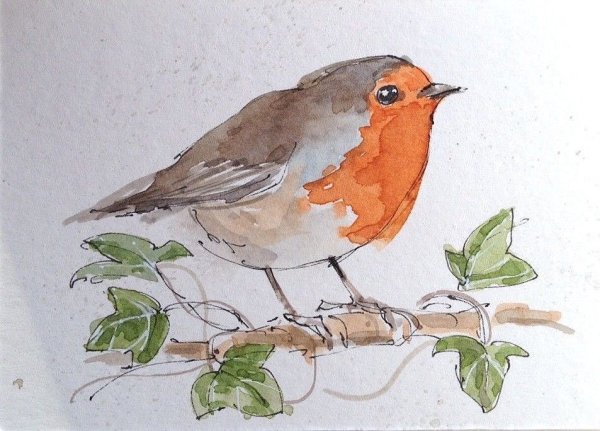 Нарисовать Малиновку