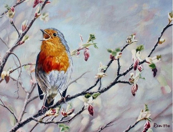 Птичка Зарянка живопись