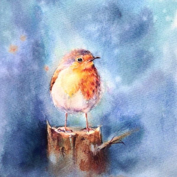 Альбина статных акварель