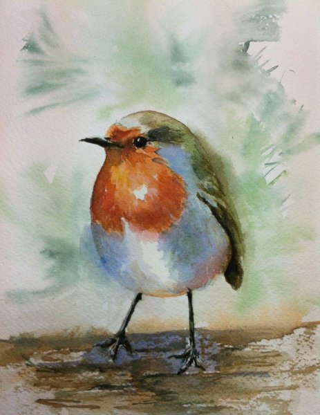 Акварельные птицы