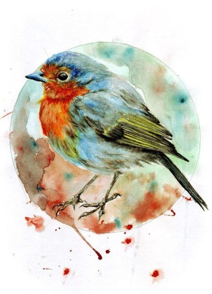 Птичка Зарянка акварель