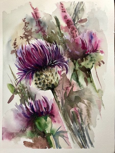 Ботаническая живопись чертополох