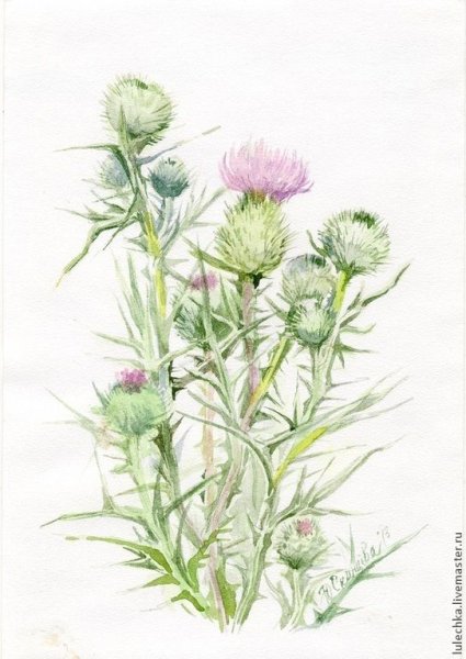 Анна Петунова художник