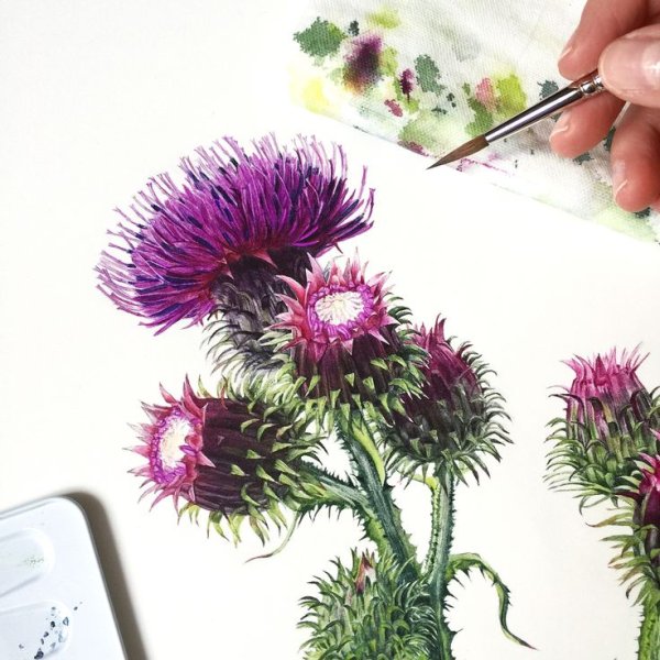 Шмель акварелью