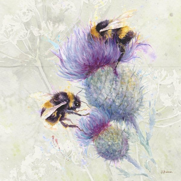 Синеголовник акварель