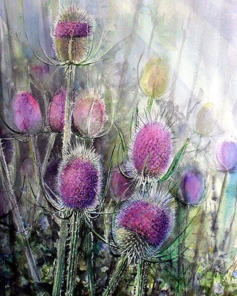 Чертополох акварель на белом фоне