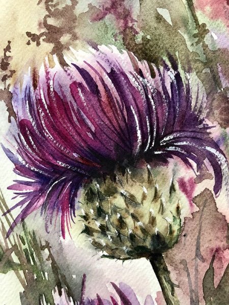 Крокосмия Botanical