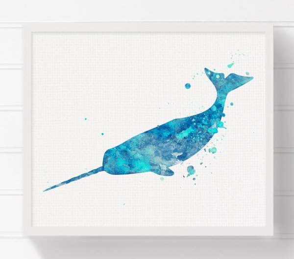 Нарвал скетч