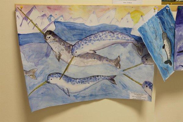 Нарвалы гуашью