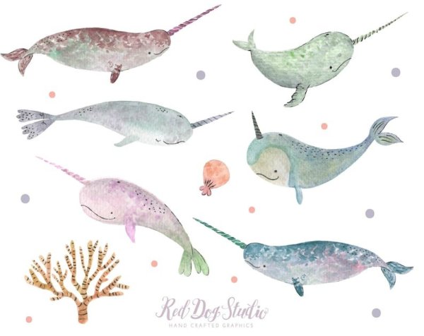 Нарвал акварельный вектор