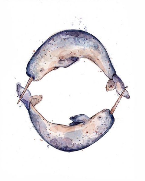 Нарвал акварелью