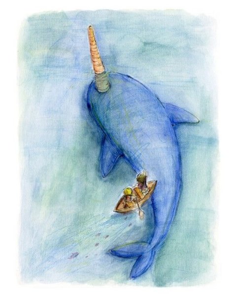 Нарвал на белом фоне