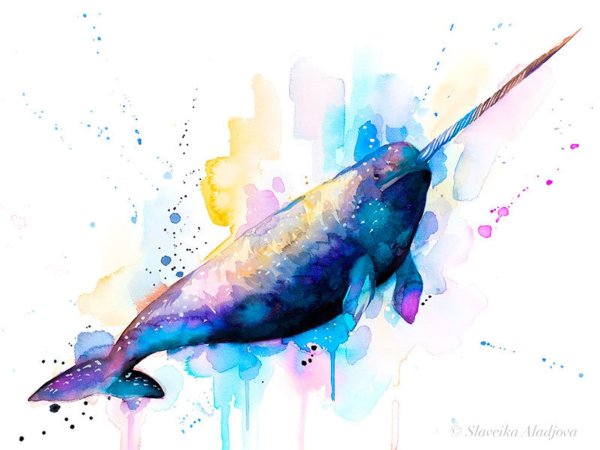 Нарвал акварелью