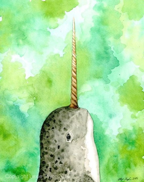 Кит нарвал рисунок