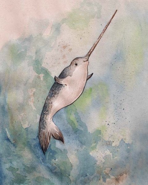 Нарвал акварелью