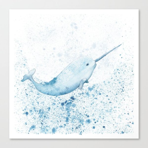 Нарвал акварелью