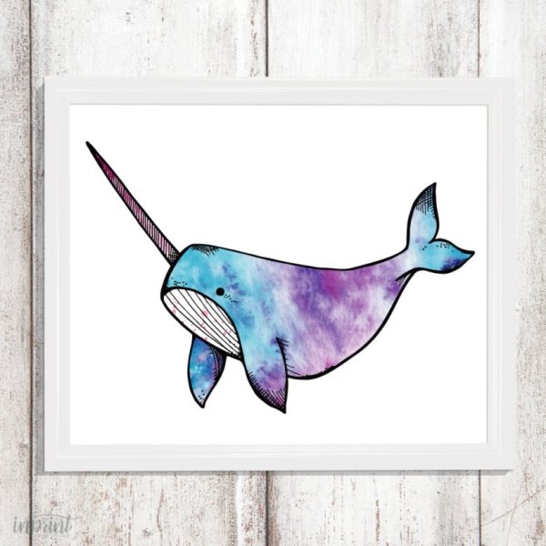 Нарвал акварелью