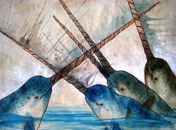 Нарвал рисунок