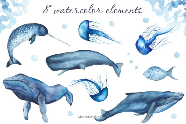 Lylac Watercolor illustration