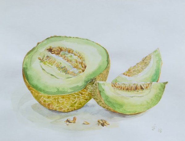 Дыня акварелью