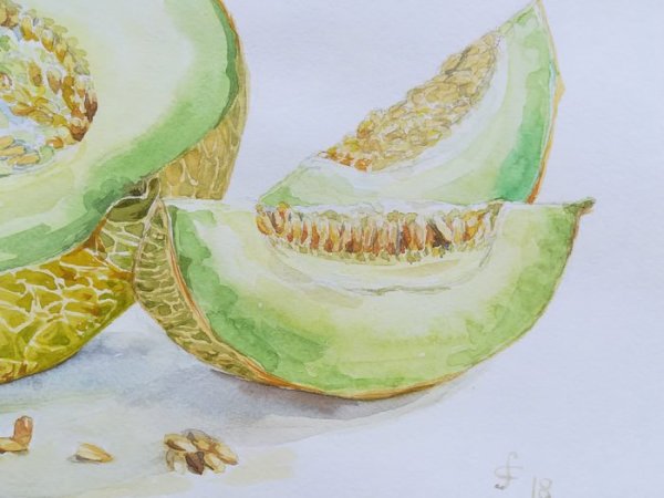 Дыня акварелью