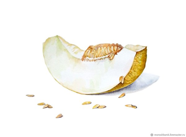 Арбузы и дыни живопись