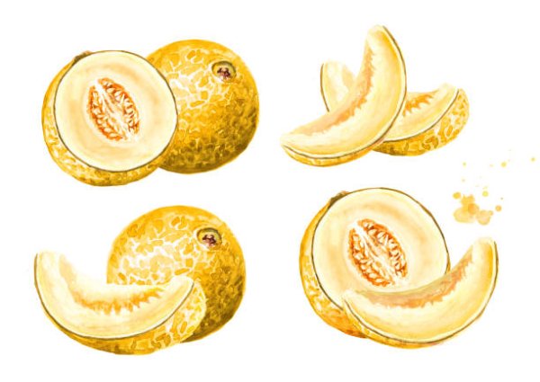 Натюрморт с дыней