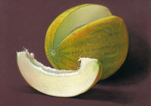 Акварельные скетчи с дыней