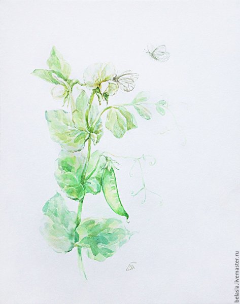 Зеленые растения акварелью