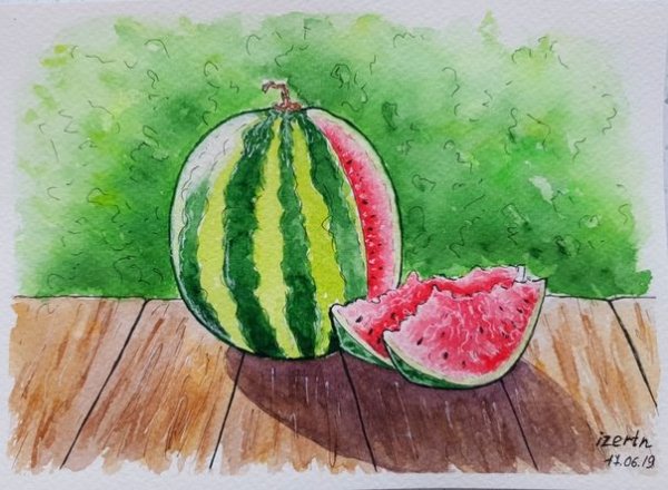Акварельные скетчи с дыней