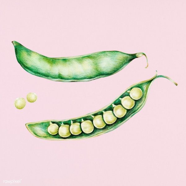 Урок рисования горох