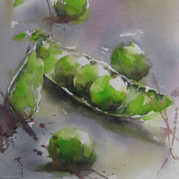 Горох живопись акварелью