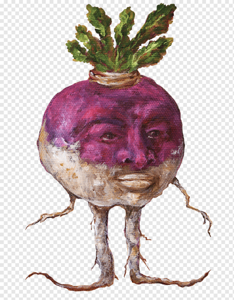 Свекла брюква репа