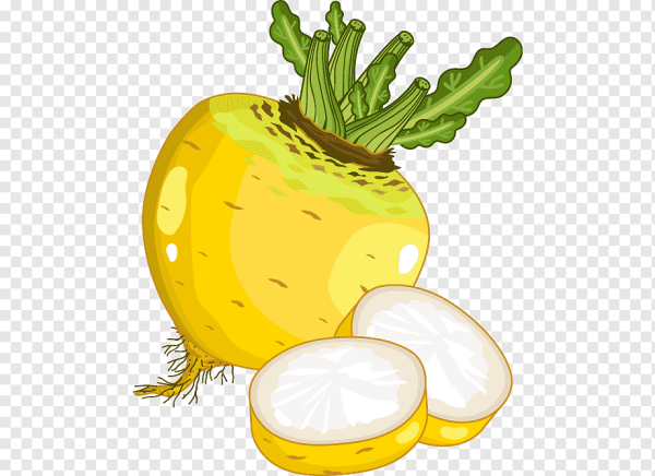 Репа для детей