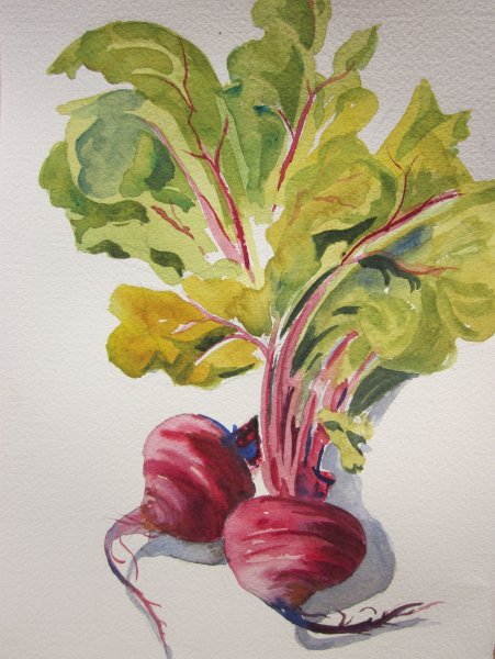 Свекла Ботаническая живопись стилизация