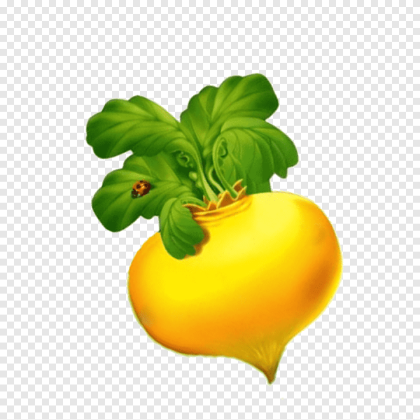 Герои сказки Репка Репка