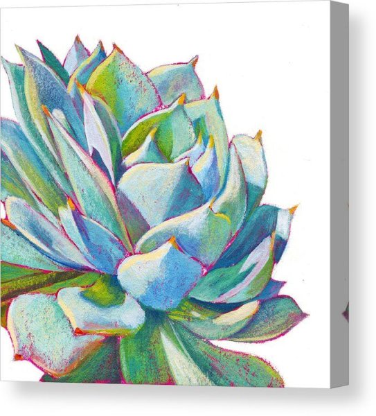 Наклейки Суккуленты