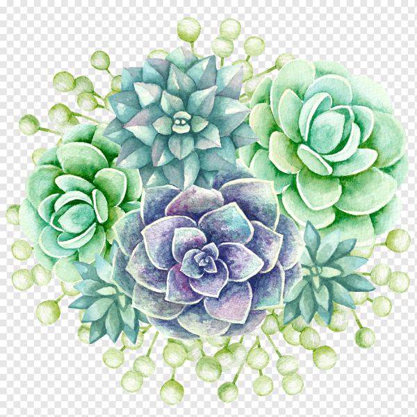 Акварель суккулент и цветы